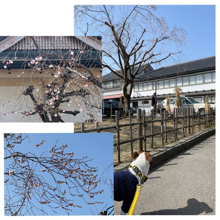 D27242ae 02c5 4ca0 946e ae982d3fb2f5 1648368001072