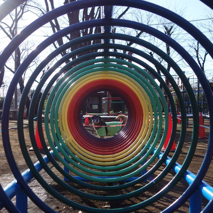 D2724c37 6dd3 487b ace9 bc022668367c 1515822461511