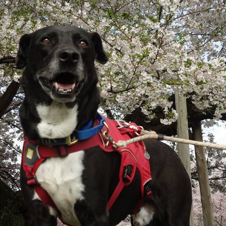 D272745a df1c 46a9 b010 e26b7ffa3a91 1680139287379