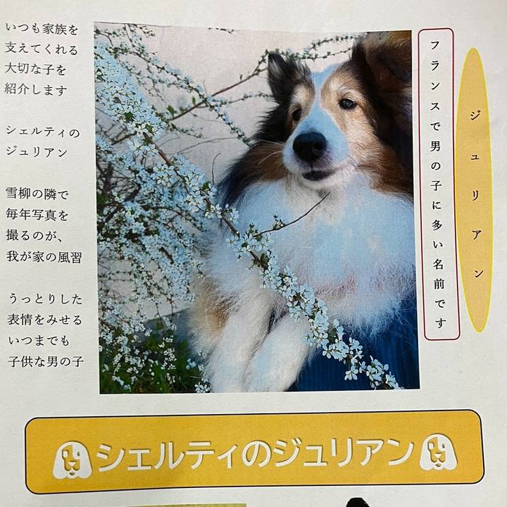 D272b172 8e17 4bfc b1d8 3c4aa4534666 1692602371909