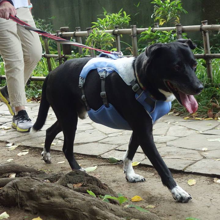 D27300f2 932d 4336 a46f 43ad7fe50e40 1691364637235