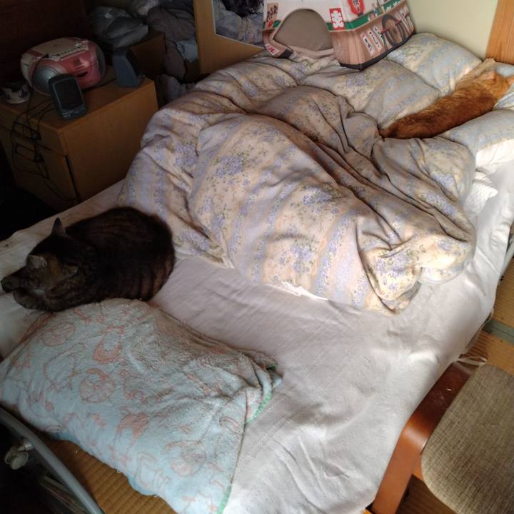 D2732221 9197 4baf a659 232e021abf40 1686087916599