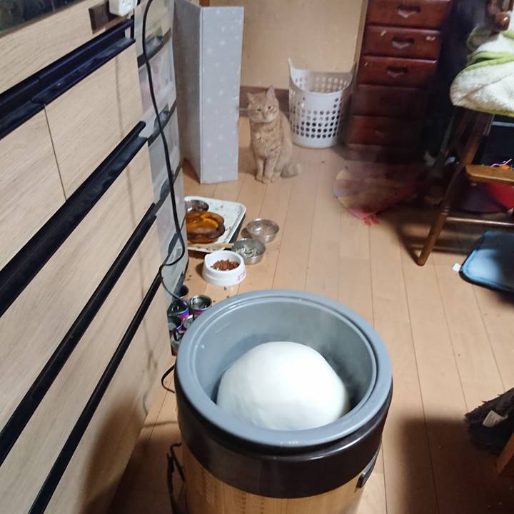 D2734ff2 79b0 4369 85b9 0189b95a86ed 1640864100507