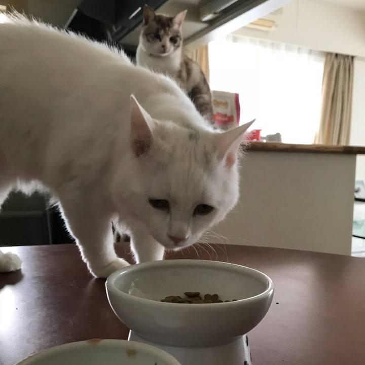 D2736f9c 6a7b 4925 a4f8 6ef92a1b450f 1519526058411