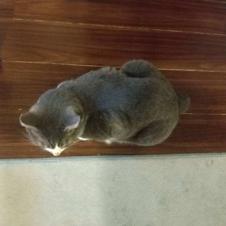 D2739642 068c 4cef 9283 7d2ce1ff2934 1629118306124