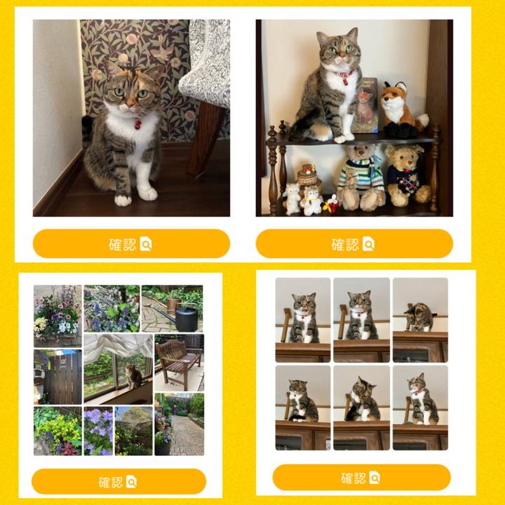 D273ea78 5179 44f3 b90a df3b06cf05be 1764213459039