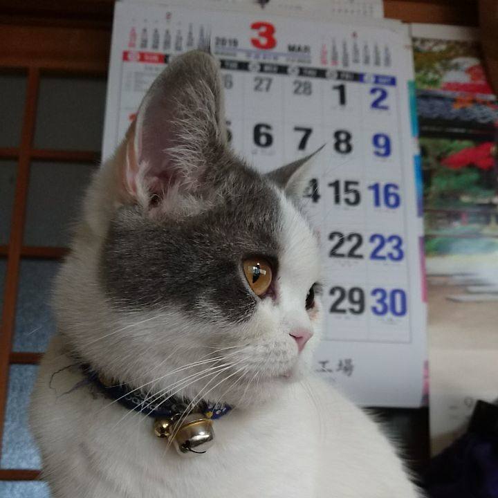 D2740310 095c 42ad a069 fab097ee5413 1552954488293