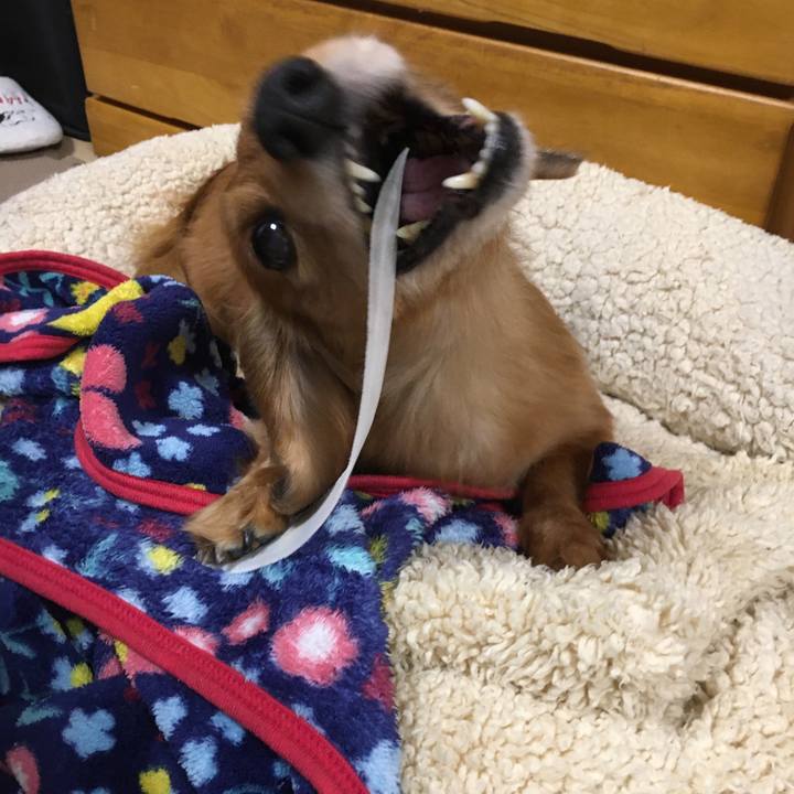 D274152a a68f 45ec bfd0 2265136664b9 1583306485528