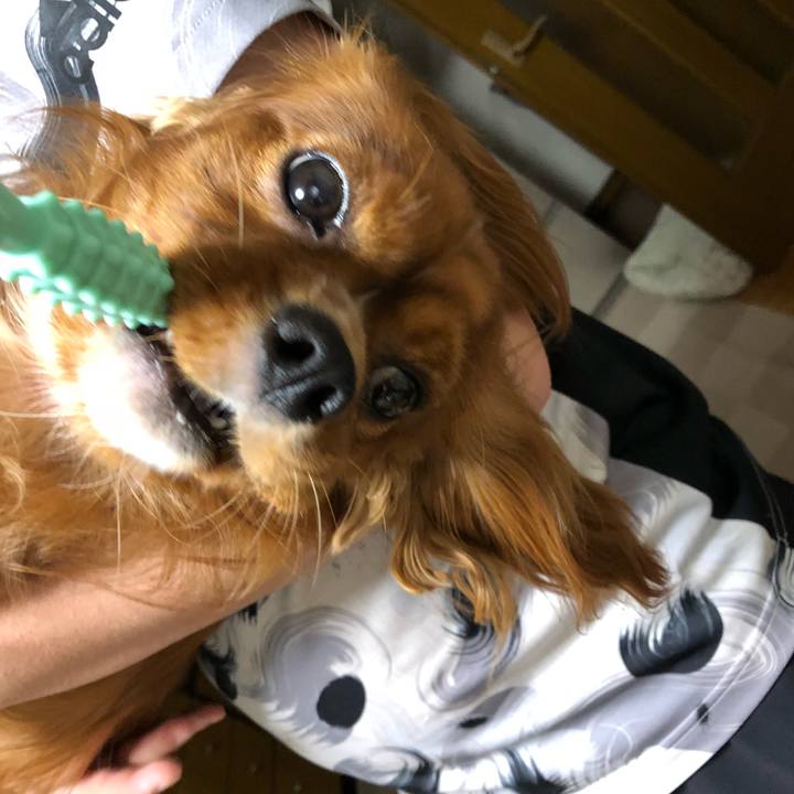 D27430ea 1151 4161 a894 182f0f7f23b7 1530801686862