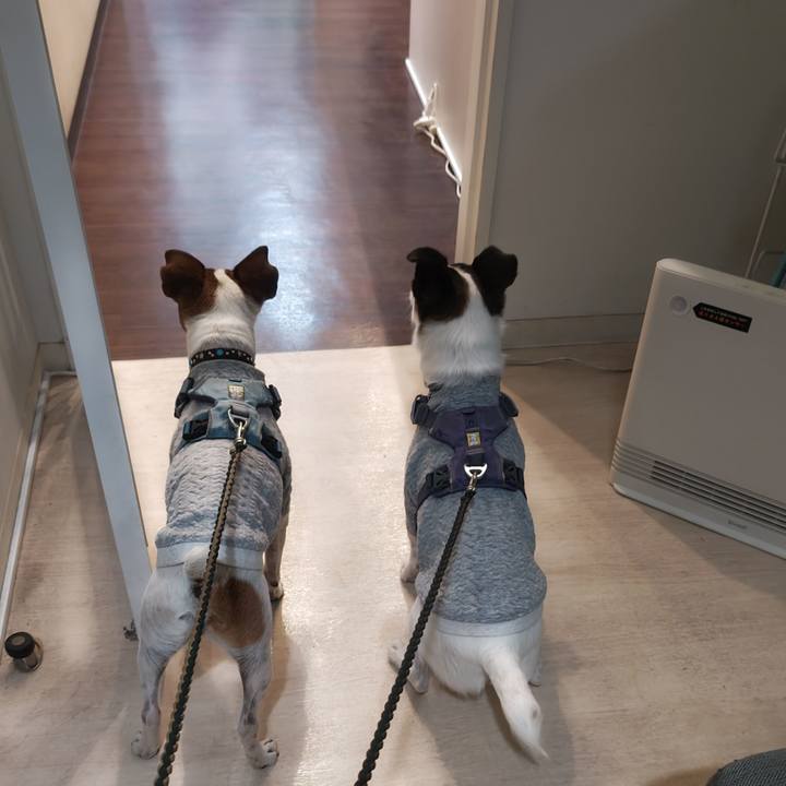 D2743445 1c6f 44cc 9cd9 6a5cd829ce2d 1772548462927