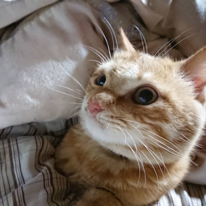 D2743fc5 020a 43ce 8568 8be8a612b088 1638911219912