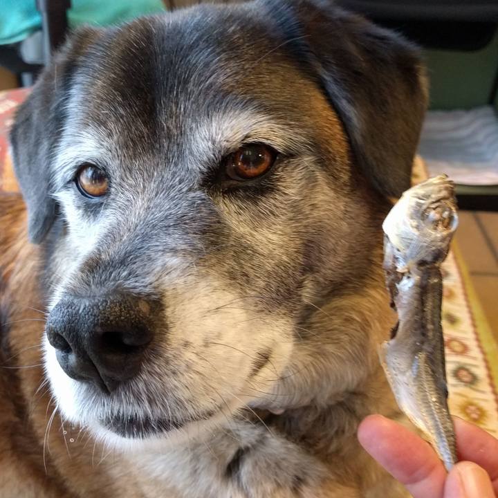 D27475e5 f1ed 4626 b107 7f0d805d566f 1523430159213