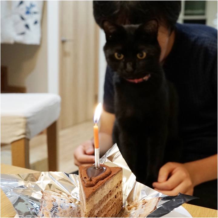 D27478ee 0877 41a0 b0b9 666aede62391 1559658998493