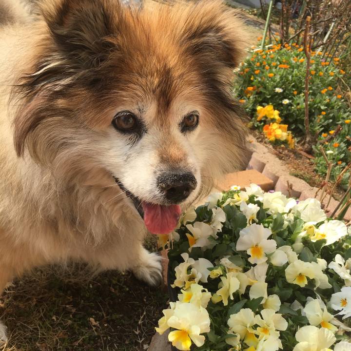 D2748b4e 333f 46b3 80e8 d75c81a14401 1565224369107