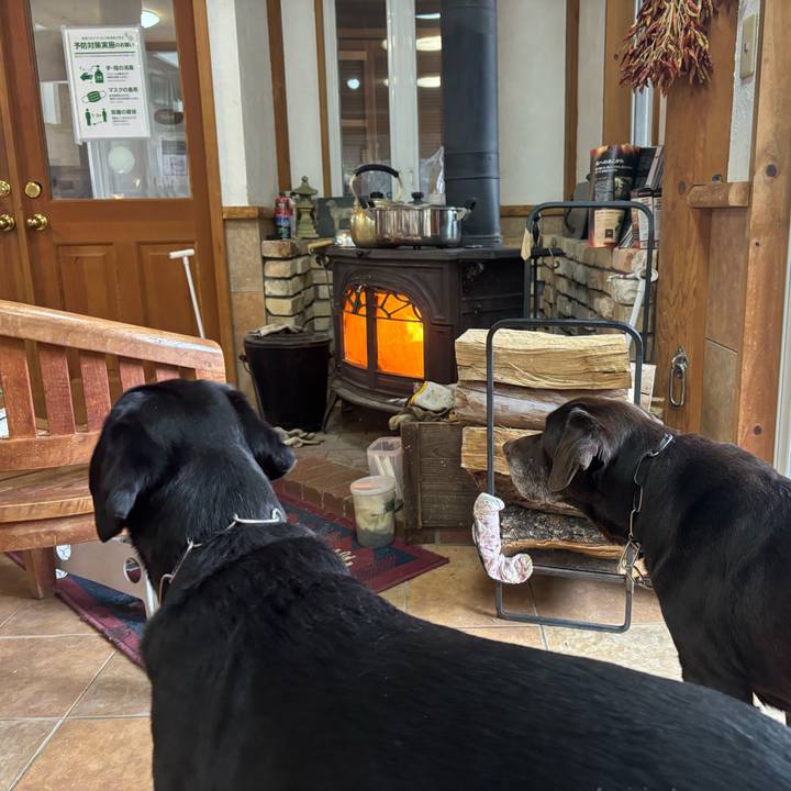 D274aacd 0fa4 4eae 8fb2 5ae613f808a6 1767522908415