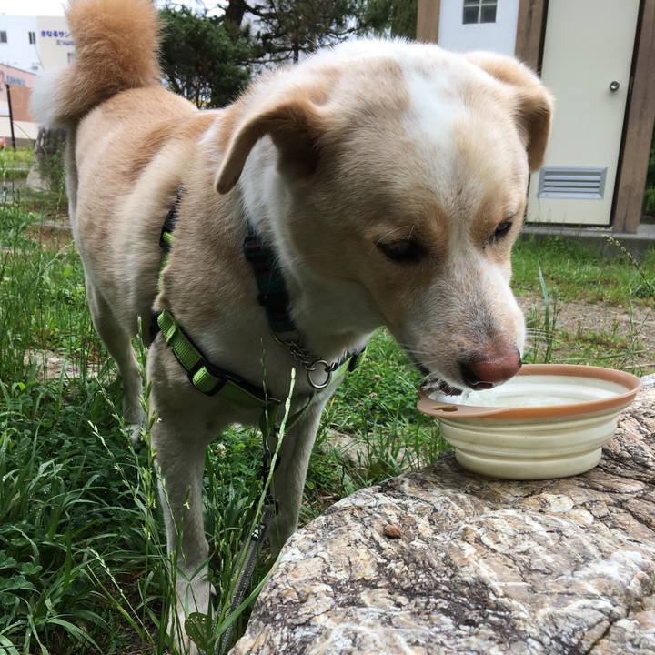 D274c351 cc9b 41c2 88fc 6ddfabe54b9b 1529112458718