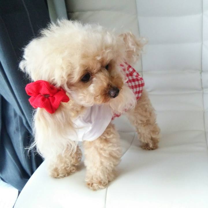 D274d224 b32c 4042 9fe3 4d4a6df7c619 1557909558496