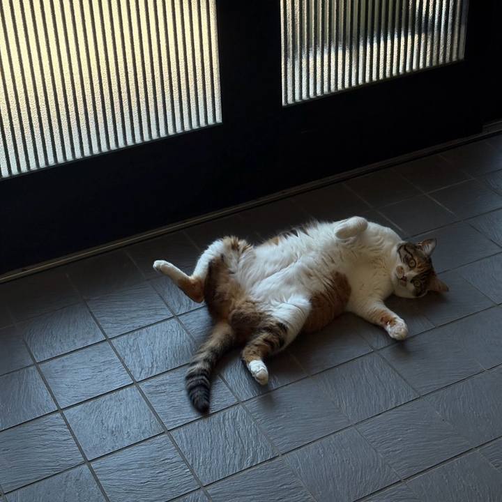 D274e157 3a4e 487a 967c 1f3da7d8029a 1754021056445