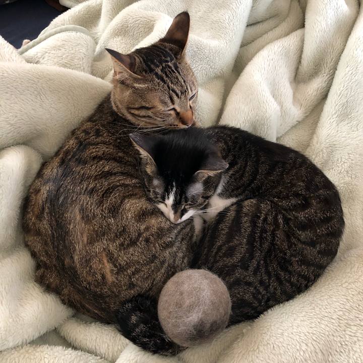 D274ec21 89bf 4d12 819d 75ac5b64c884 1522486470301