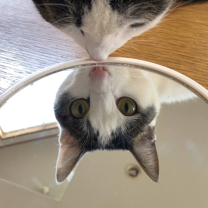 D274f475 3cb7 40ba 9584 b8207f12bf89 1619747093351