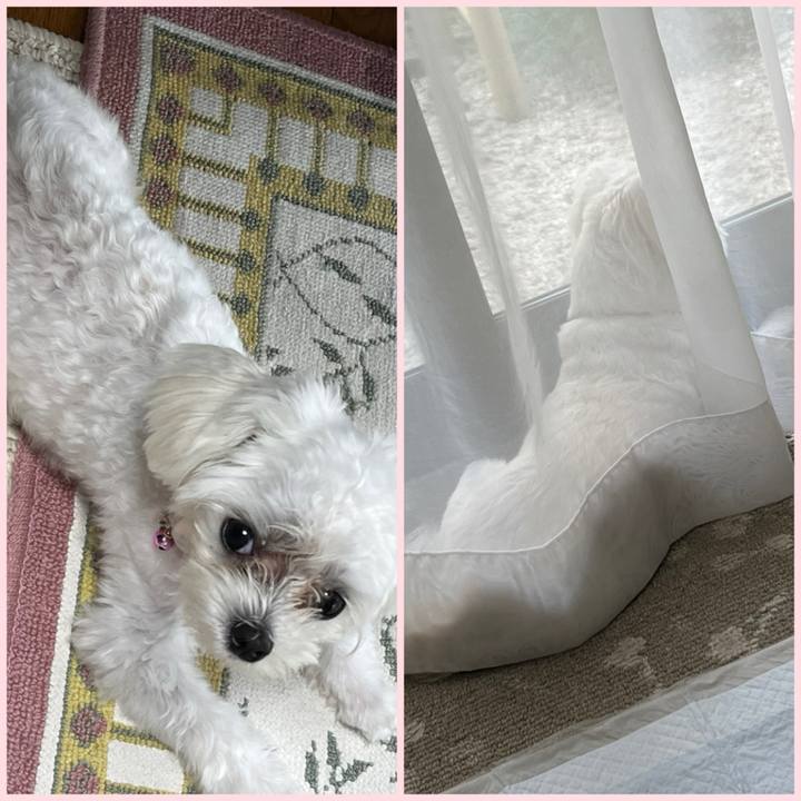 D274fd65 22c3 4949 9743 5fbf68d5978c 1719994581012