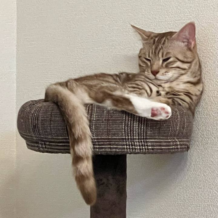 D2750d12 ecd4 4d2a bd37 ae555bd2cd8b 1686232760367