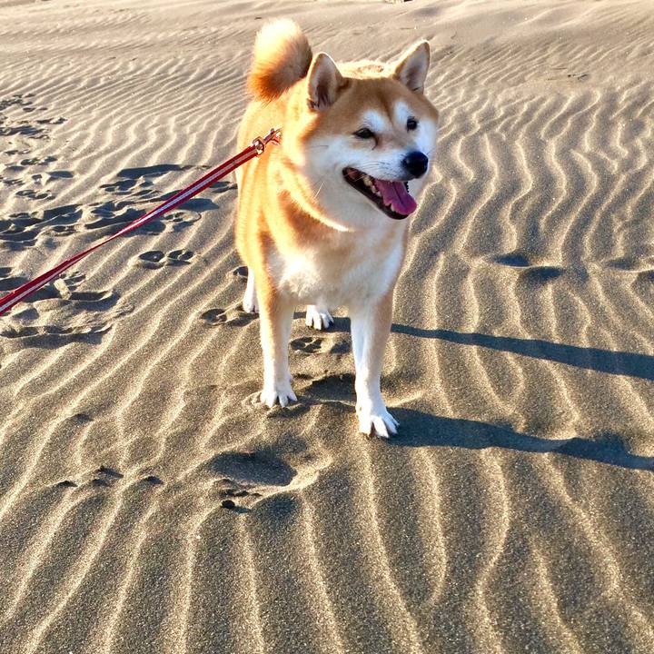 D2752284 7fea 4141 9c49 691fb42ba10f 1542522697039