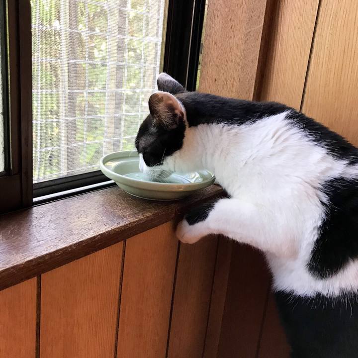 D2752a17 c093 4fc9 86b0 f7ce18760f3e 1528339831833