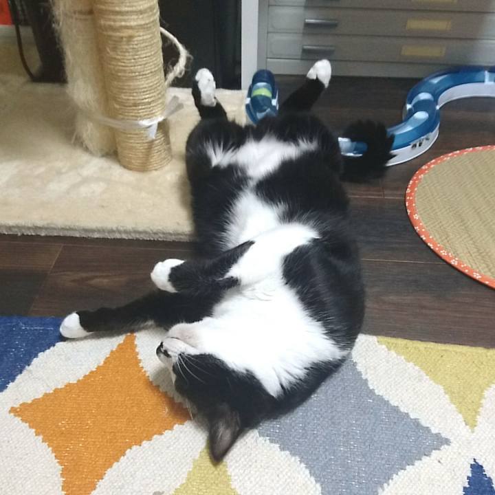 D2753bd9 3b12 4ede 9b23 4532da28716c 1528207753308