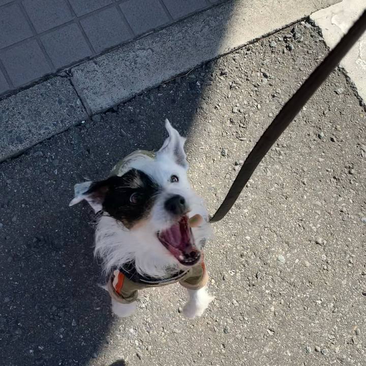 D2759033 985f 48d4 b5e7 76c79d15ba45 1709082084405