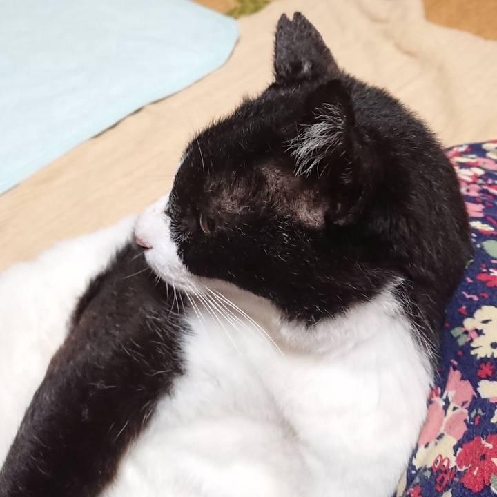 D2759271 e431 4625 b2bb f743b6e150ba 1595072677335