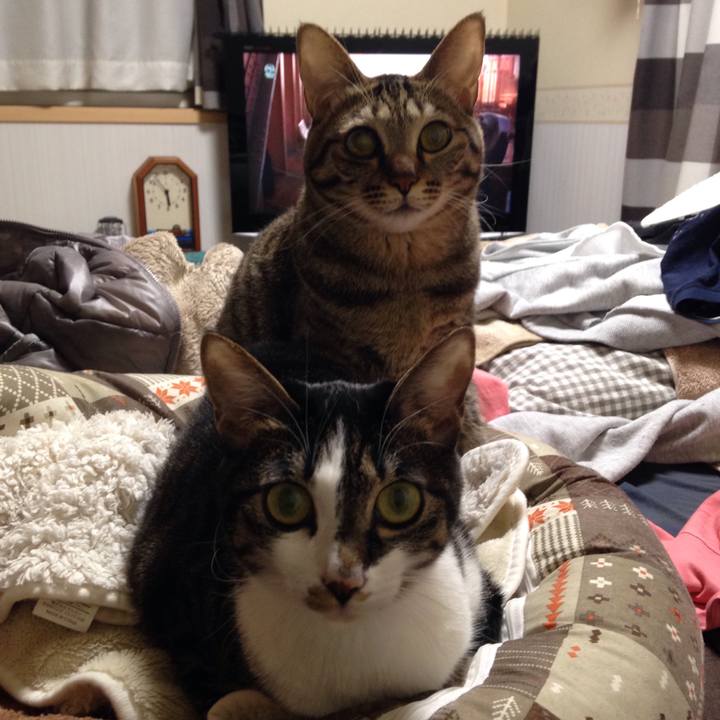 D2759c8f 71ad 47df b835 7894c758c9ef 1512378358605