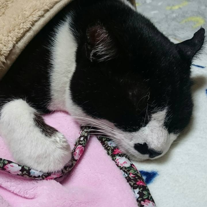 D275ad1c 91a2 4f86 b11a 49c83c0716f5 1510929990870