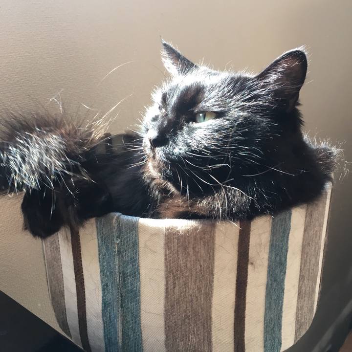 D275c6fa 4e99 4e86 93a0 399db142c5ea 1528164779305