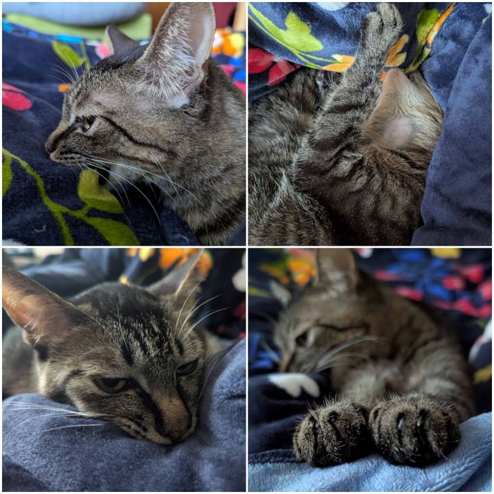 D2760d7b d292 4192 9bb6 dd85d89f2c53 1736853586229