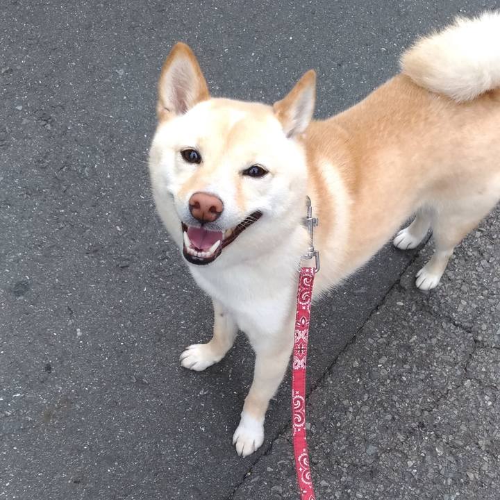 D2761015 1634 4710 9904 036ae52dcb24 1560845476556