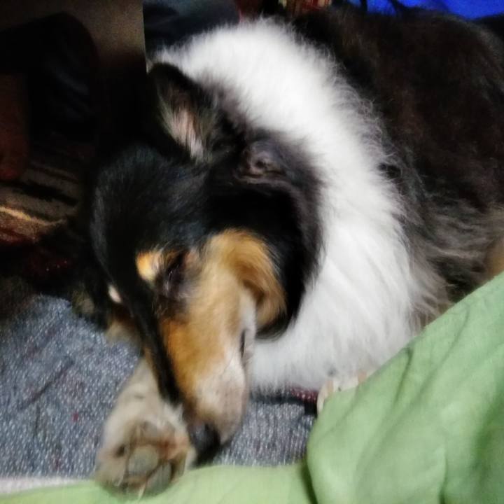 D2761e0e 61d6 48fa b1e1 c088b905cfe7 1560699244406