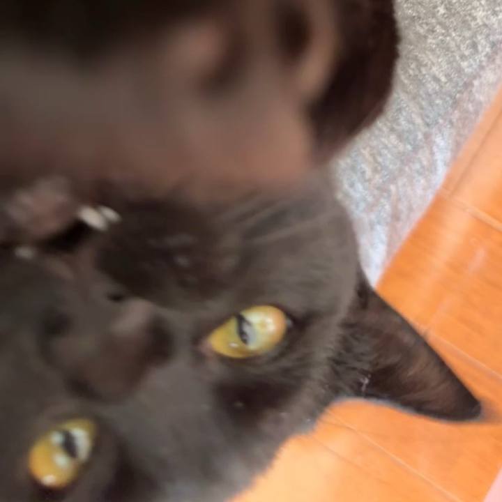 D276205e 93b0 4eda a4bf 2d2e93173eda 1737849138081