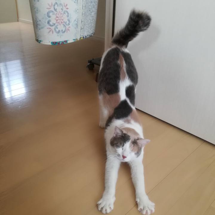 D2762352 1024 41d6 b4dc 25ef27d73f6e 1533970686261