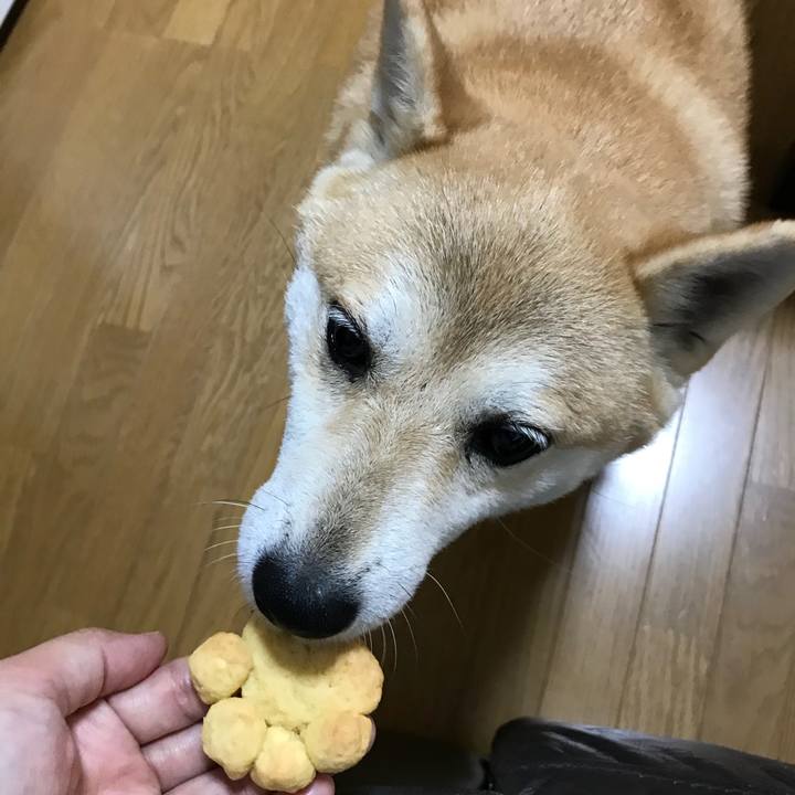 D2764bc2 710a 4b99 ad04 28ede50edf49 1534914309409