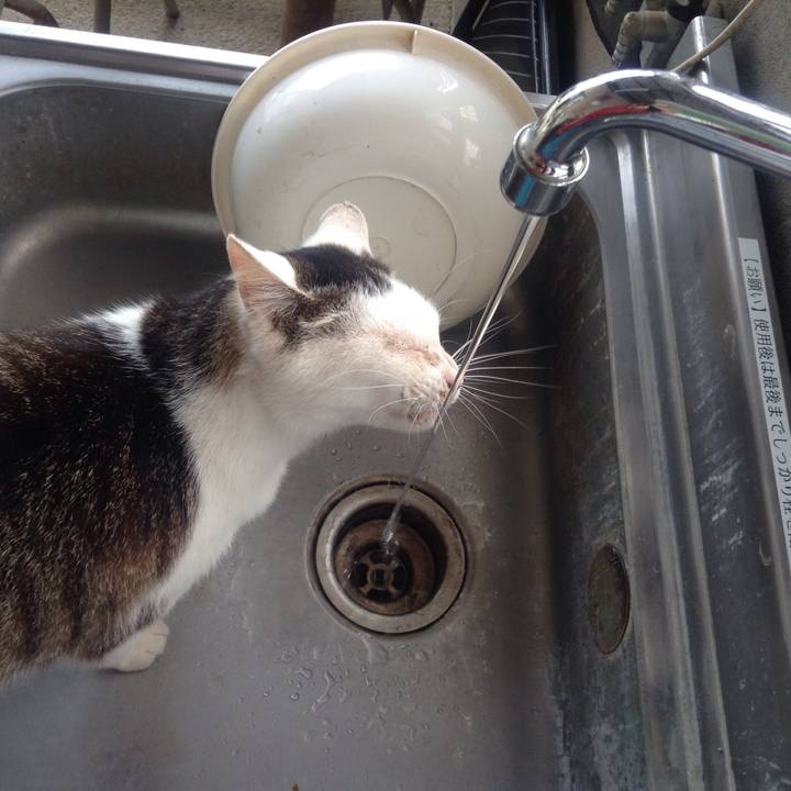 D2765104 72b5 4444 834d f0ff002d41b2 1560949422410