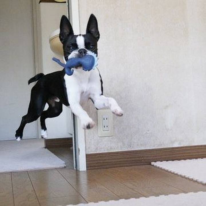 D276b125 f3d9 4318 bc8c d62adb7c9a85 1543277612493