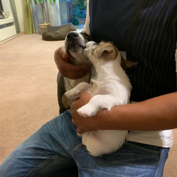 D276c09a bcd3 4532 abef 1ba27a697a62 1559913531964