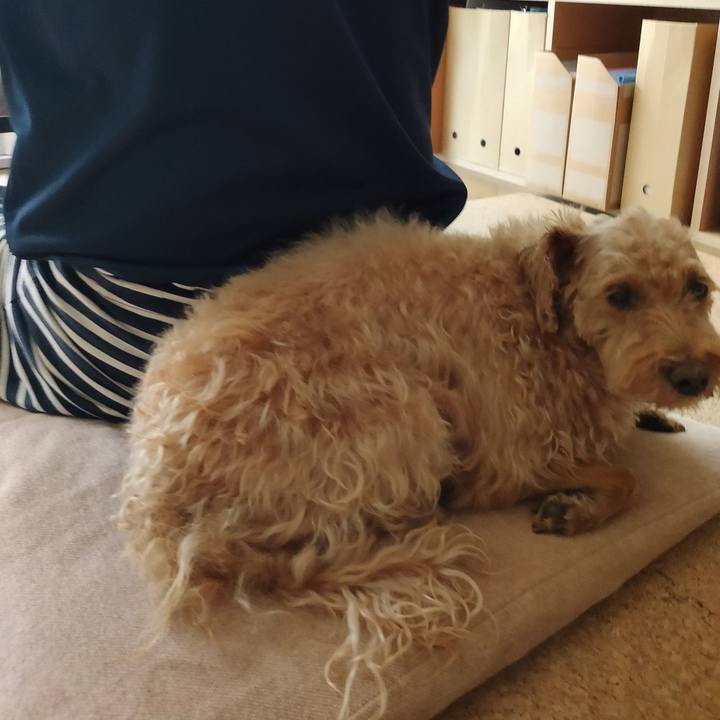 D276ec52 f86c 4c6a b409 584f7cde6840 1595288809430