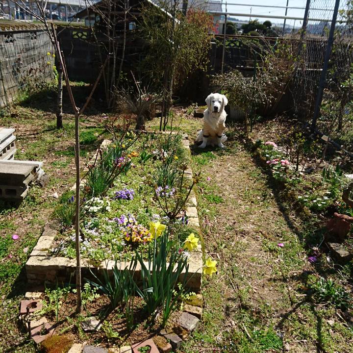 D2771465 6016 4e1c a203 7af7fc3cb667 1552714715532