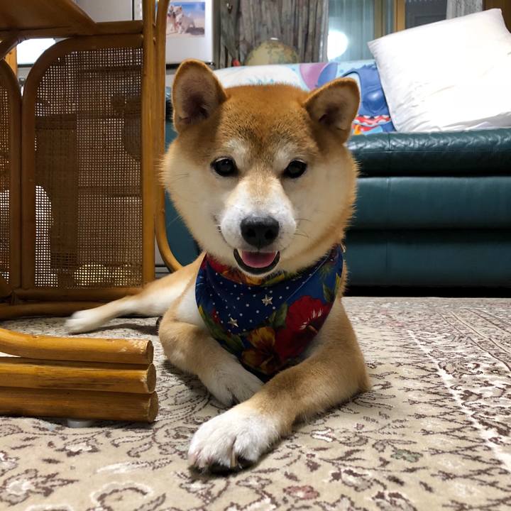 D2773fcb d59c 4fd3 aecf 1783bcff7b47 1536655491106