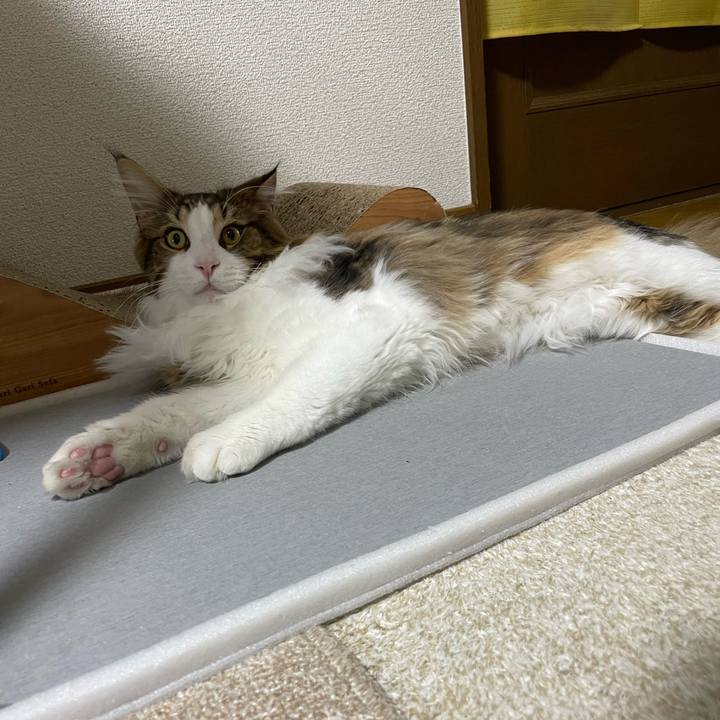 D27750d2 83aa 42b6 ac66 3f880bbd3e44 1647771726425