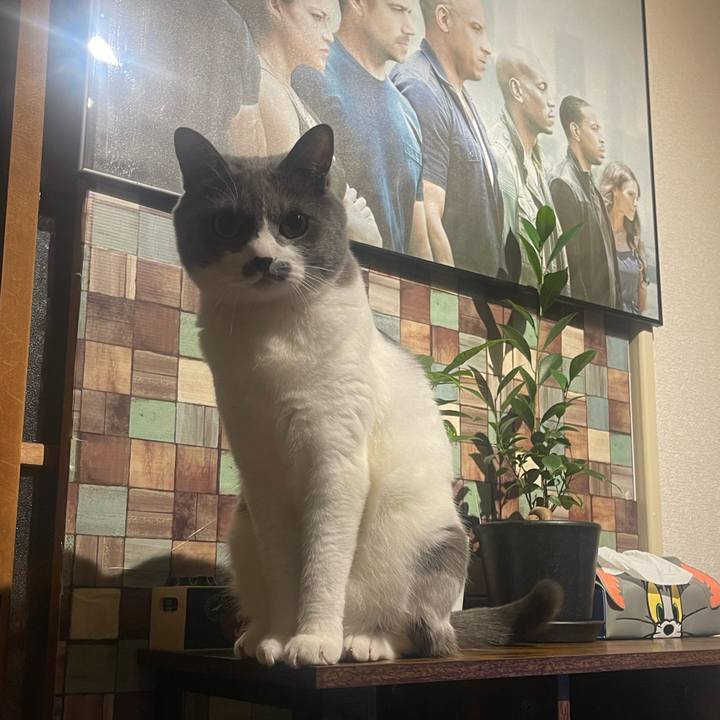 D2777325 fd1b 4ce1 aff2 7ae92ef97e4a 1721141633134