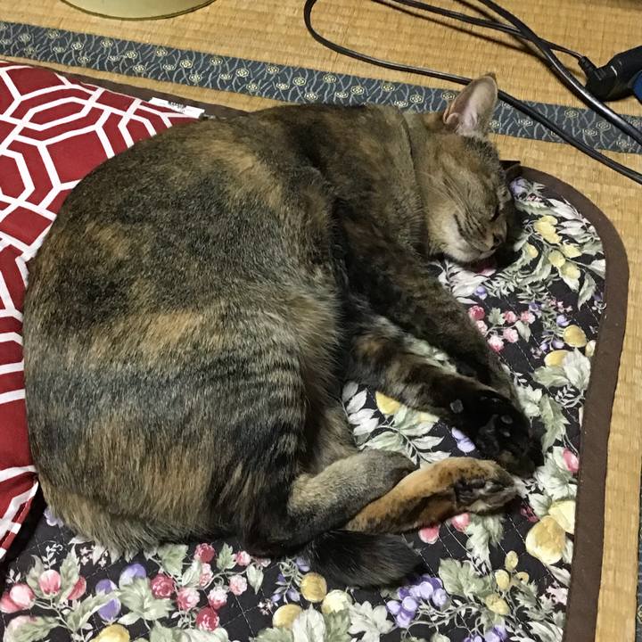 D27786fa 065d 41e7 9e58 22af16ab3af1 1634984236058