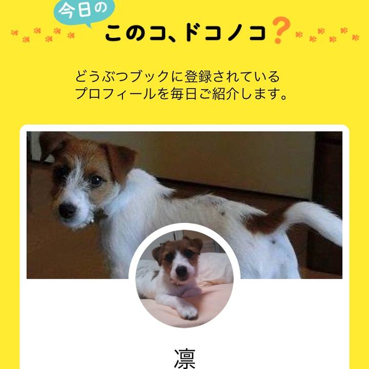 D277f74b fb3c 4547 a9a1 8b197a2e8161 1528017671365